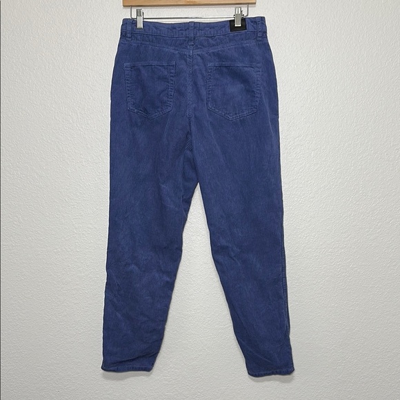 BDG Blue Corduroy Pants 30 - Picture 2 of 6
